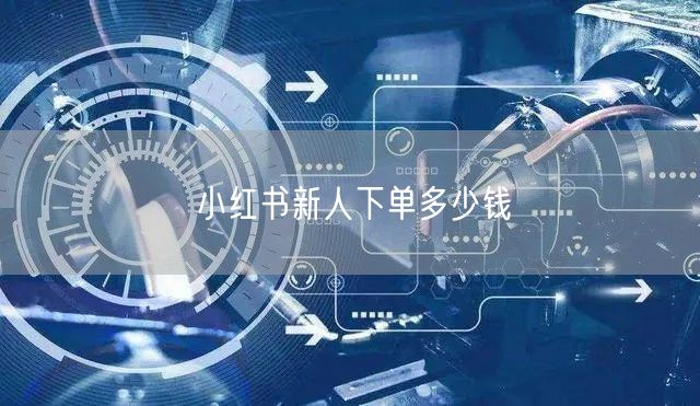小红书新人下单多少钱